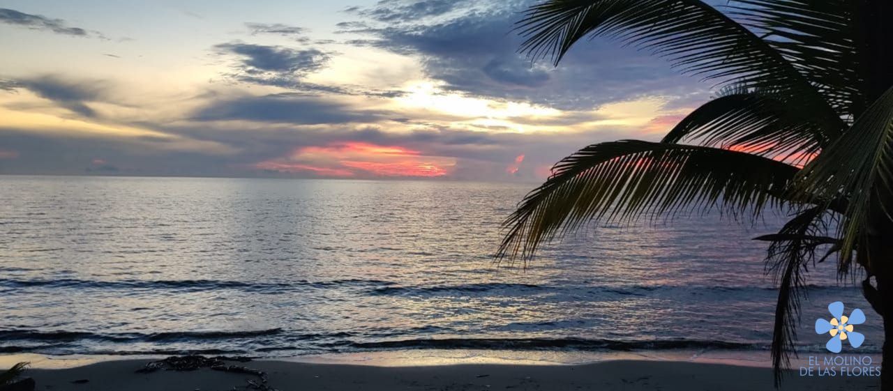 Cabaña El Molino de las Flores