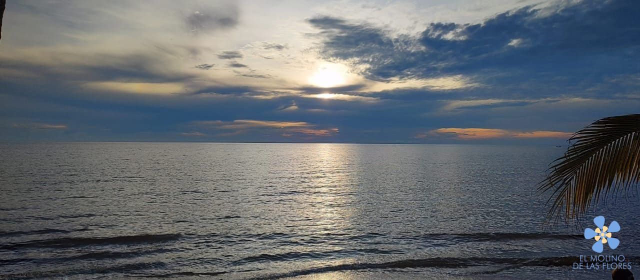 Cabaña El Molino de las Flores