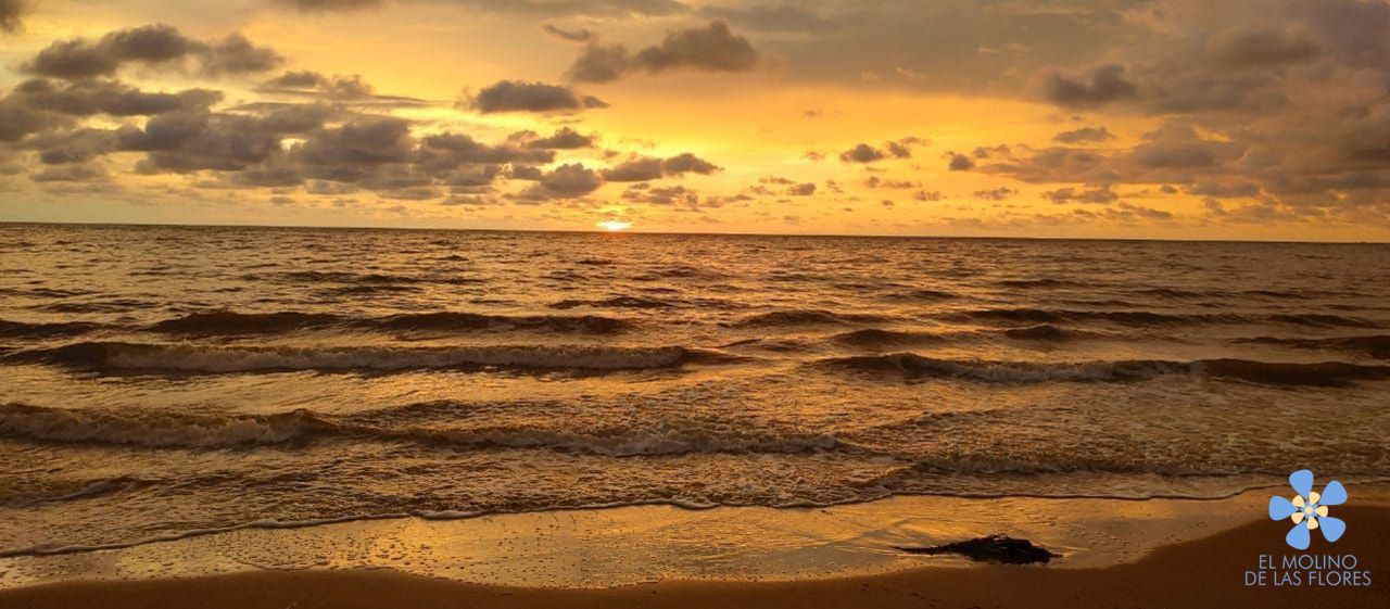 Cabaña El Molino de las Flores