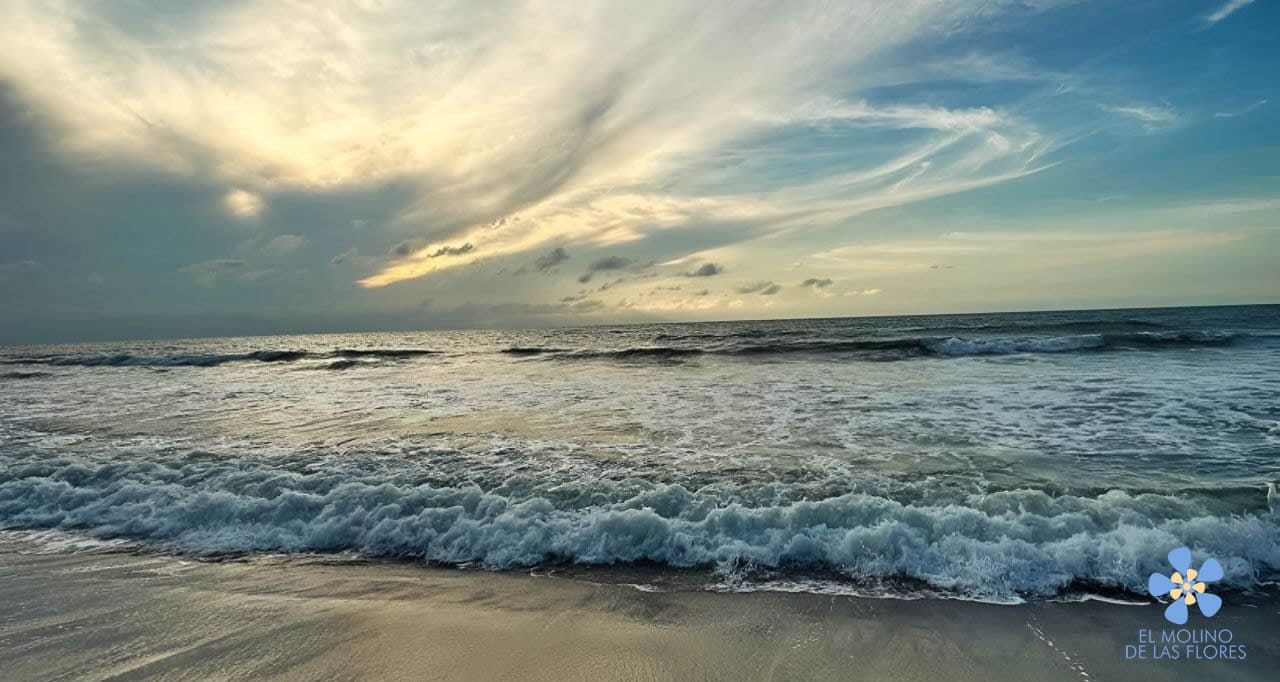 Cabaña El Molino de las Flores
