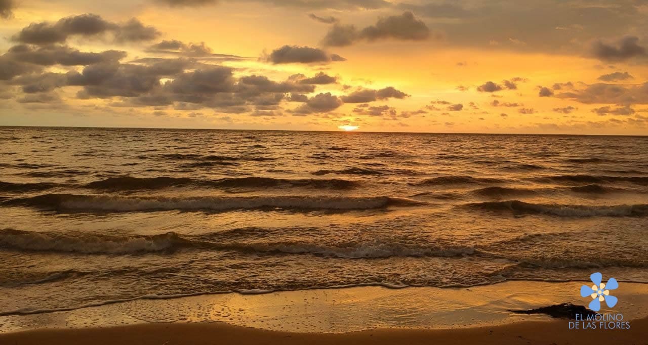 Cabaña El Molino de las Flores